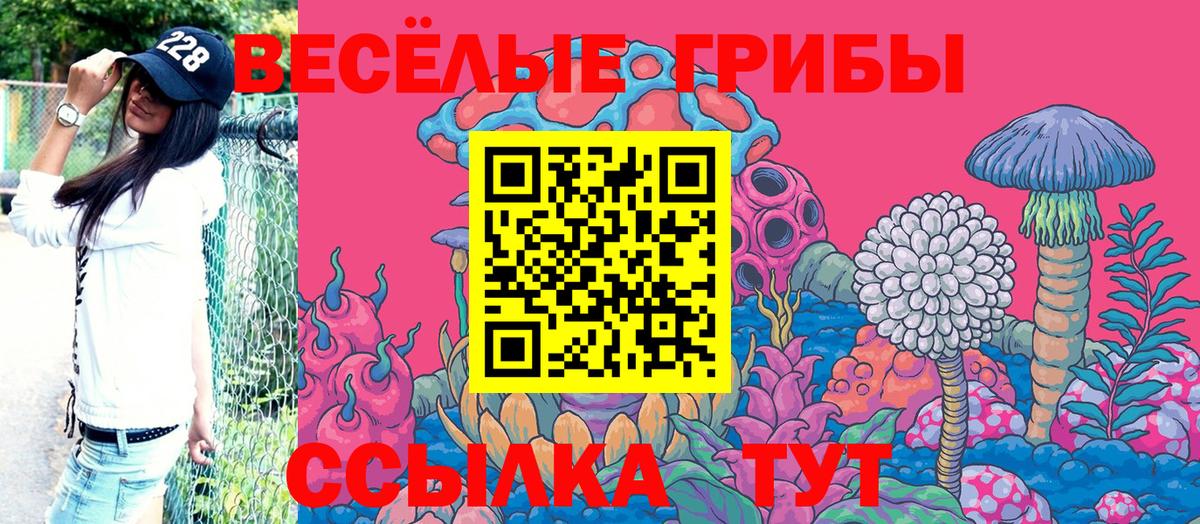 Галлюциногенные грибы GOLDEN TEACHER Кандалакша