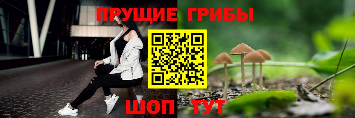 Кандалакша  Псилоцибиновые грибы ЛСД  Вход с VPN 