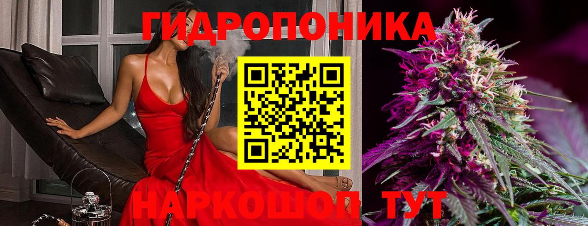 Конопля сатива  Вход с VPN  Конопля MAZAR  Кандалакша 